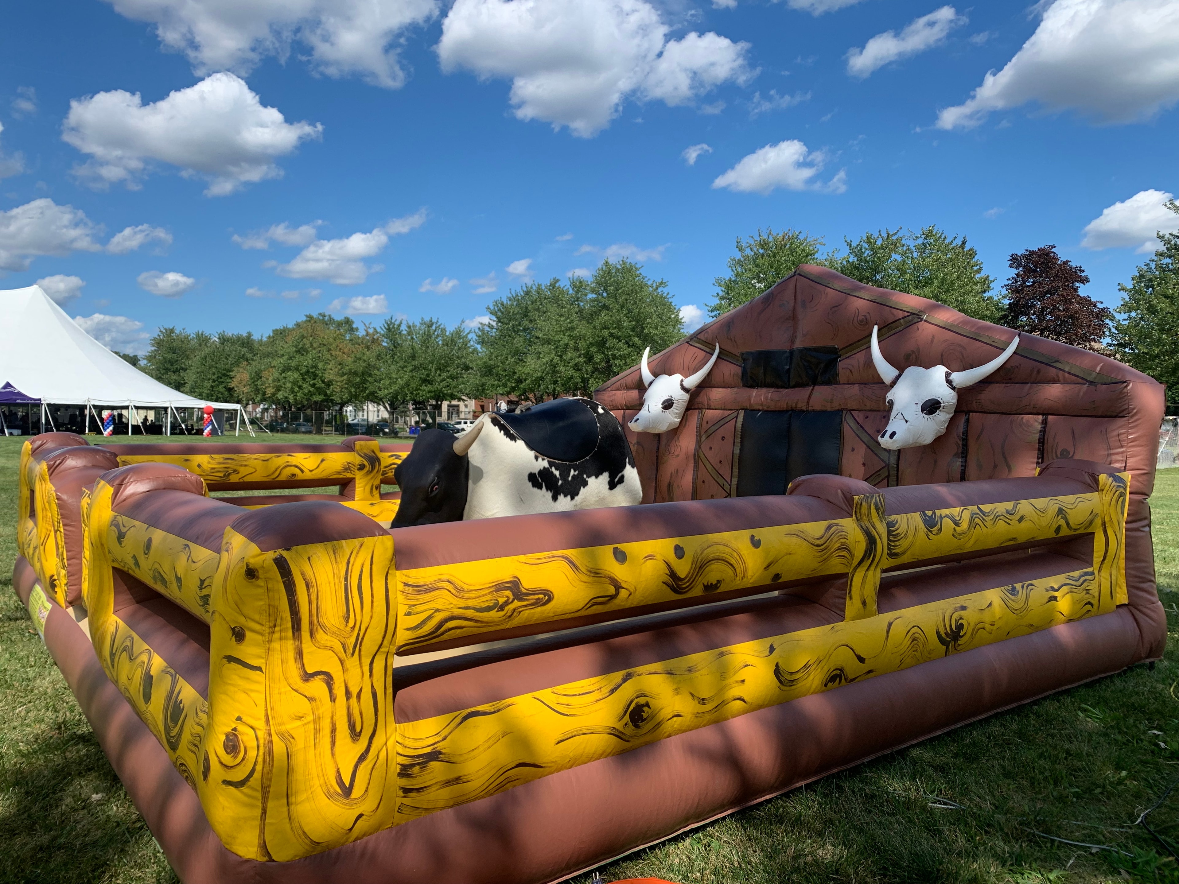 Mechanical Bull